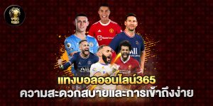 แทงบอลออนไลน์365-ความสะดวกสบายและการเข้าถึงง่าย